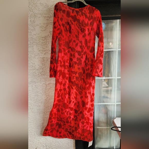 Cecily‎ Long Sleeve Rose Printed Sheer Maxi Dress - Picture 5 of 5